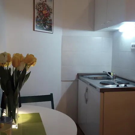 Optimist/city Break Apartament