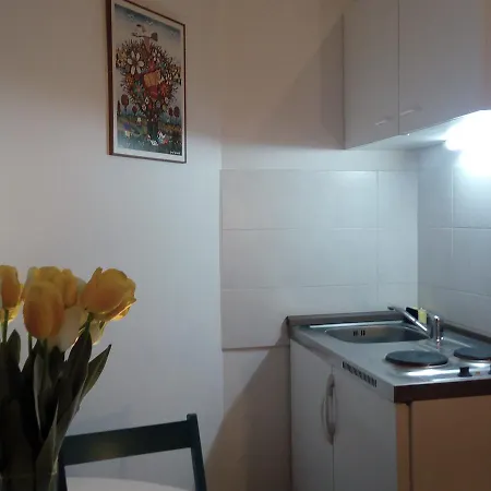 Optimist/city Break Apartament