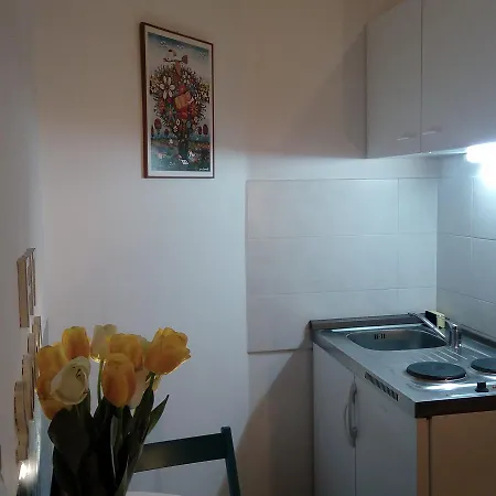 Optimist/city Break Apartment
